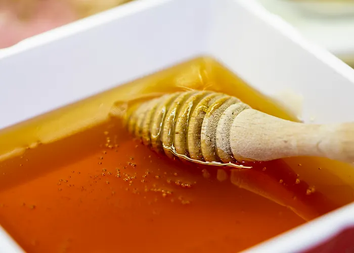 Bio & 4* העיירה רתימנו