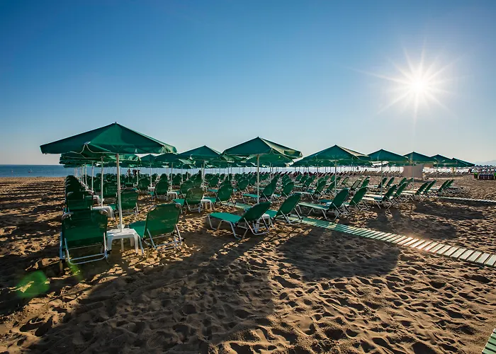 Bio & העיירה רתימנו